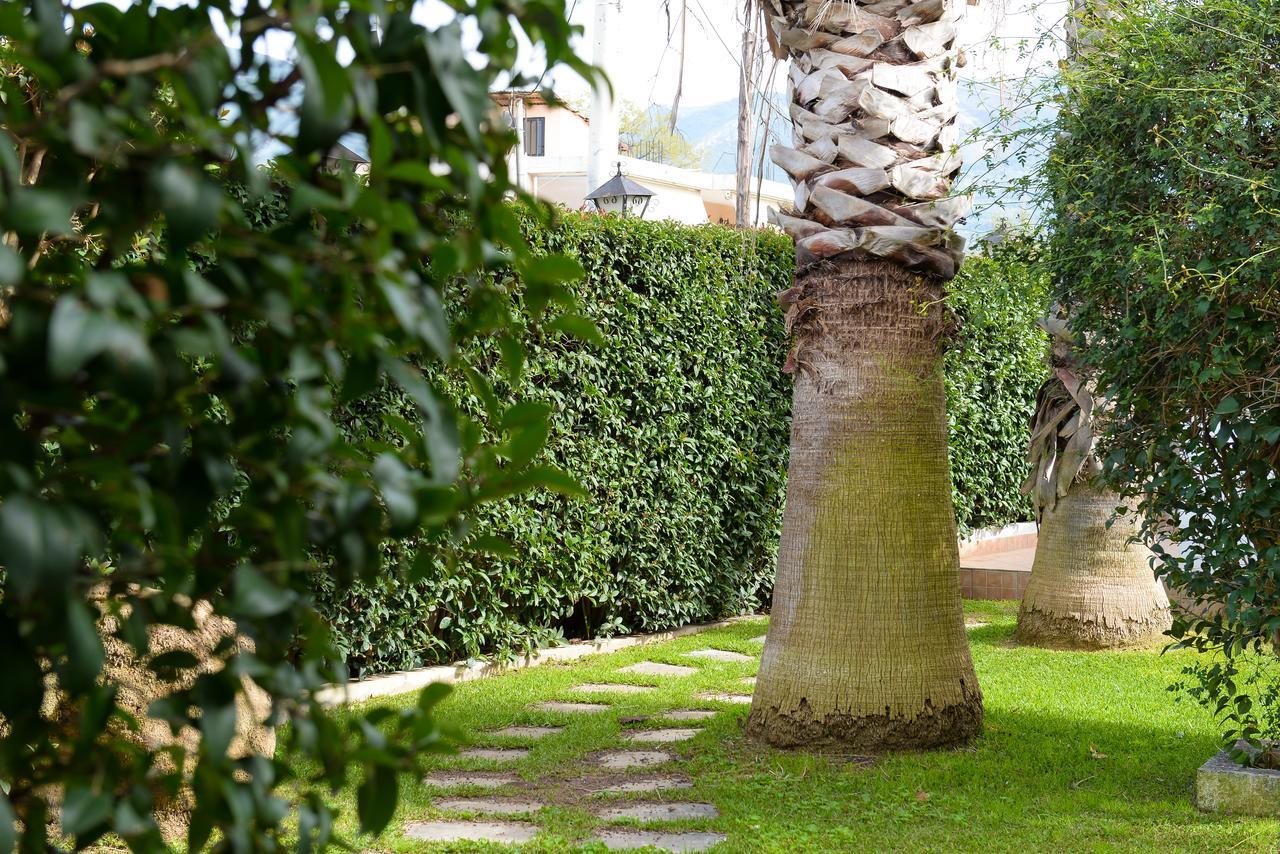 Patras Palm Tree Apartment Exterior foto
